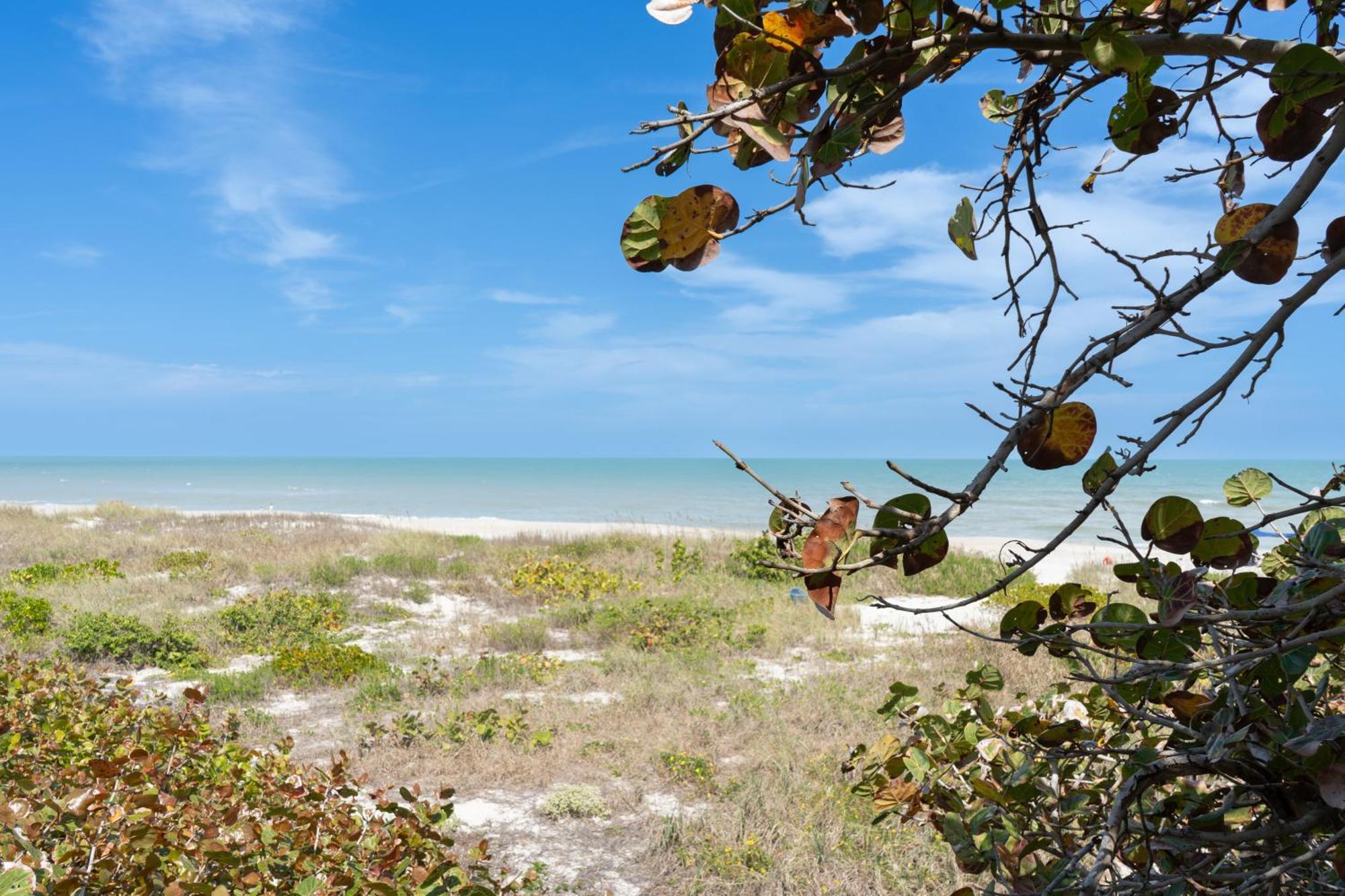 Sole Suite #1-2 Min To Beach-Patio & Courtyard Cocoa Beach Exterior foto